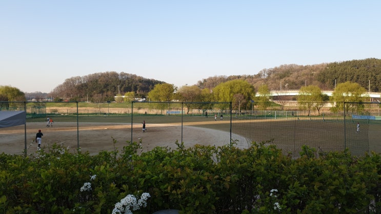 대전 서구 리틀 야구 3월 30일 연습 일지