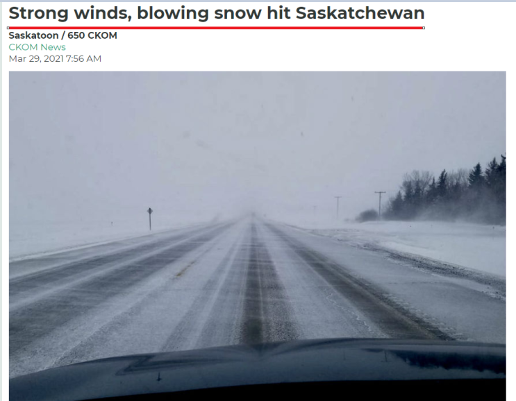 캐나다 워킹홀리데이 3월의 일상 끝나지 않은 겨울, 엄청난 눈보라 강타