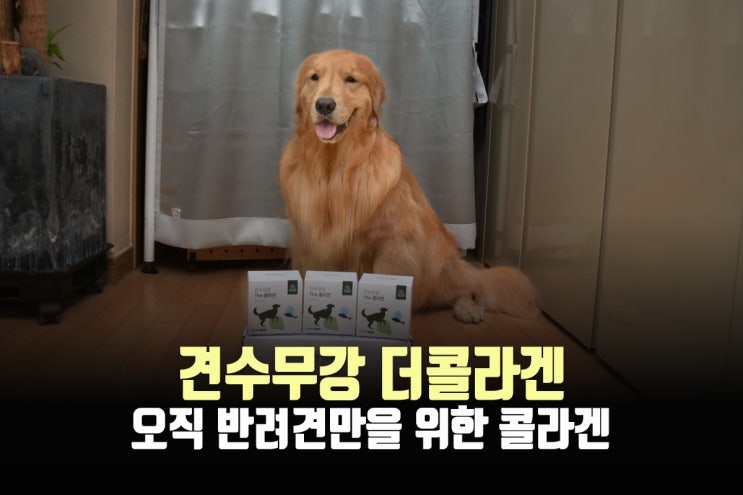  노견영양제, 견수무강더콜라겐으로 충분합니다.