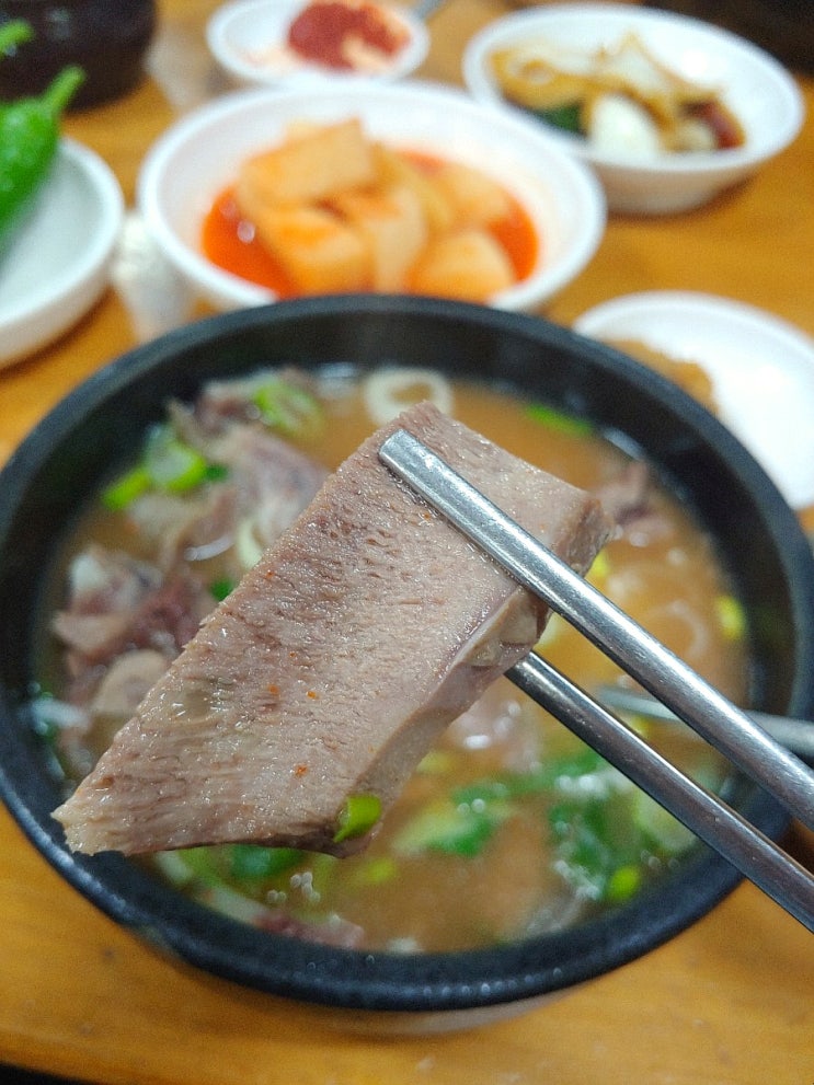 [포항/죽도]부드러운 고기가 일품인 국내산 한우곰탕 죽도시장맛집 장기식당
