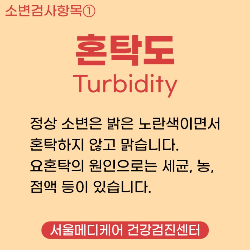 [몽점] 소변몽점 소변몽점 소변관련몽점