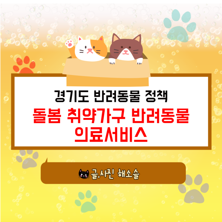  경기도 반려동물 정책 "돌봄 취약가구 반려동물 의료서비스"