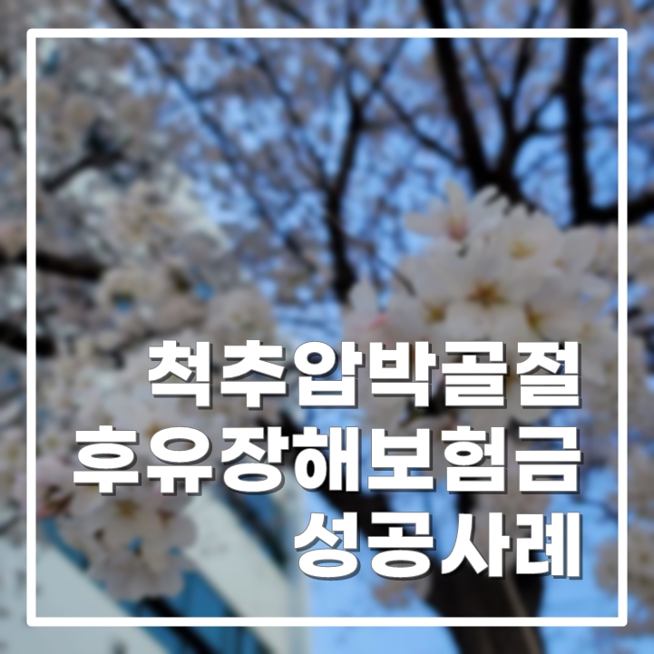  척추압박골절 후유장해보험금 성공사례