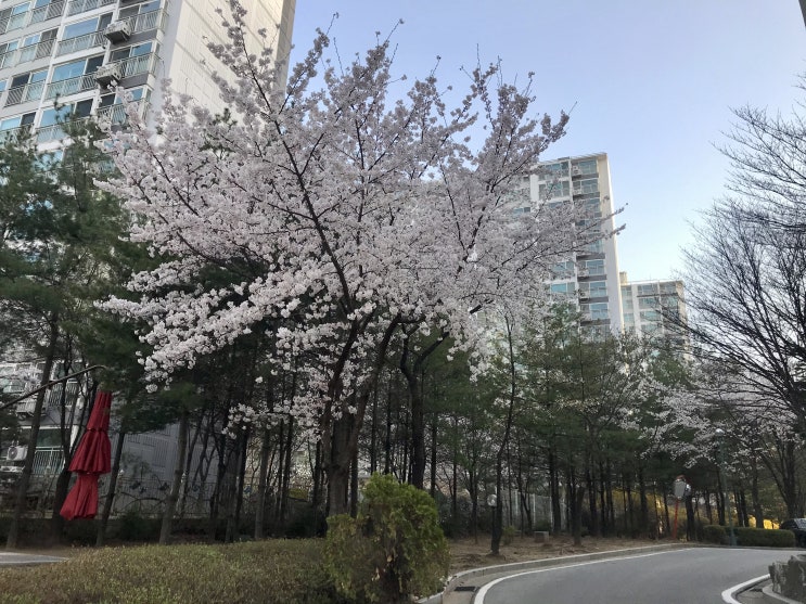 슬쌍디아빠 교단일기 FILE 157 / 출근길