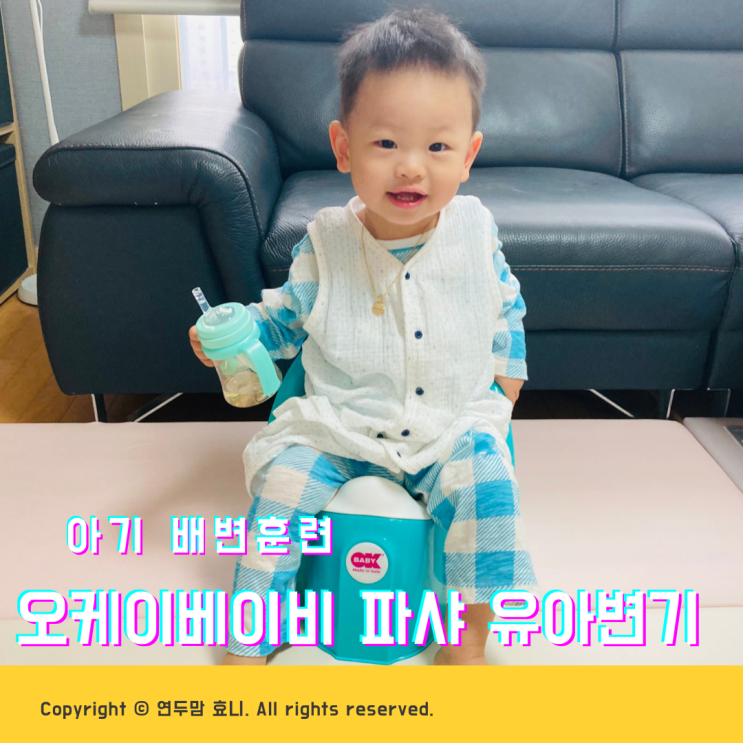 아기 배변훈련 시기 언제하는게 좋을까 ( with 오케이베이비 파샤 아기변기 ) 아기 배변훈련 시기 언제하는게 좋을까 ( with 오케이베이비 파샤 아기변기 )