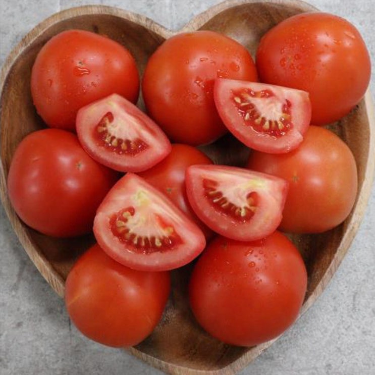 선호도 높은 스테비아 토마토 토망고 샤인토마토 단마토 설탕 토마토 1kg 추천합니다