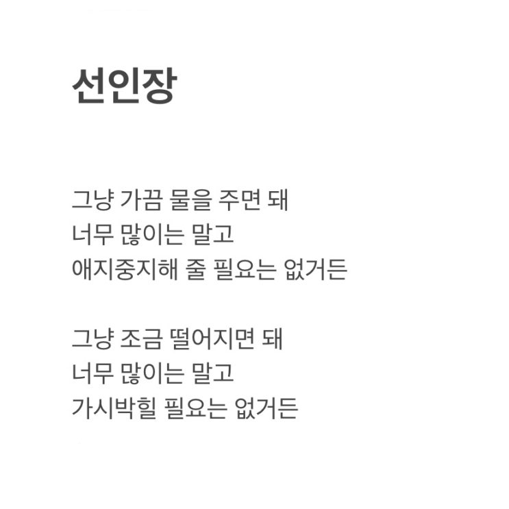  선인장