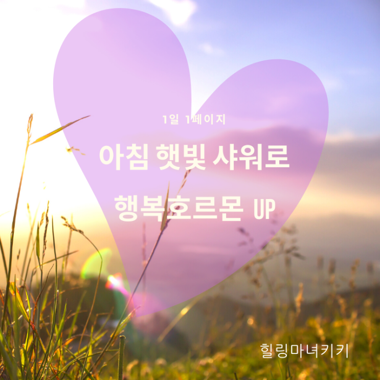  1일1페이지 ㅡ09일 아침 햇빛샤워로 행복호르몬(세로토닌)Up, 수면호르몬(멜라토닌) Down