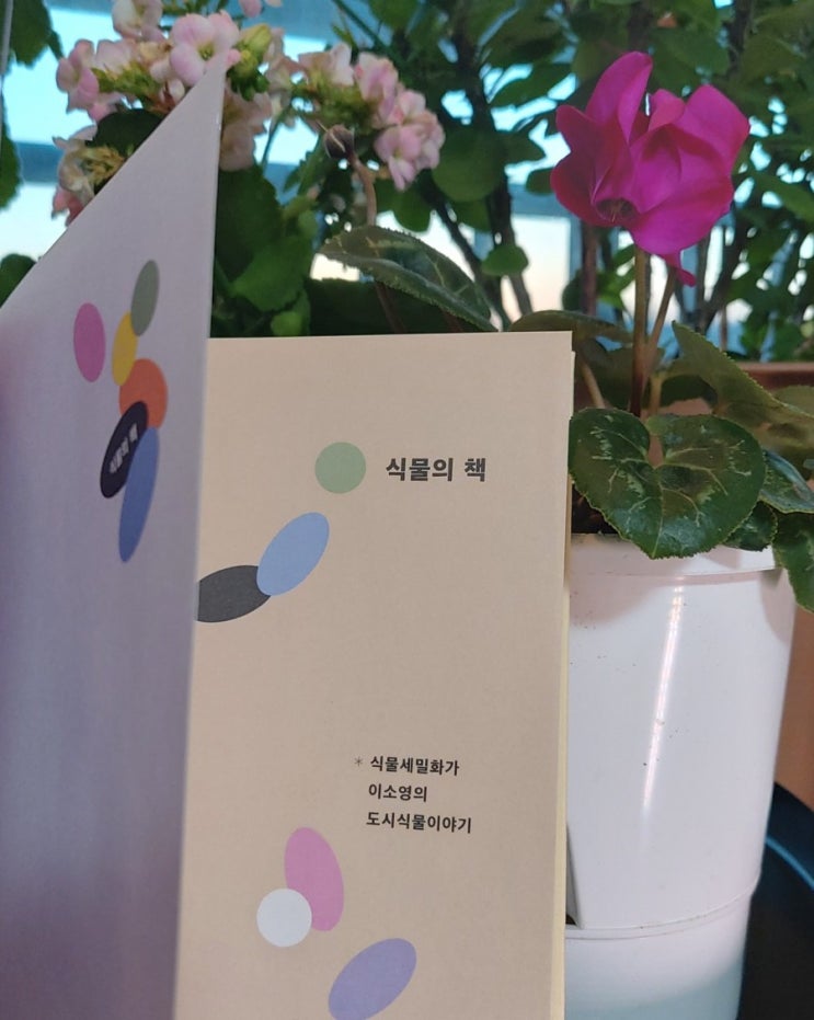 식물이야기 '식물의 책' 튤립버블 식물버블의 시작 도시식물이야기 홈가드너의 관심