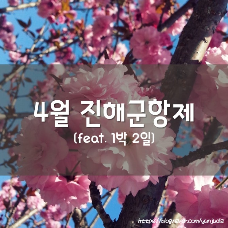  [진해] 진해군항제, 로망스다리, 경화역 간이역 - 벚꽃 축제, 드라이브