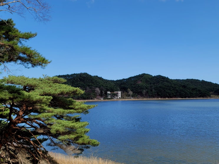 고성 화진포의성 김일성별장 및 이승만별장에서 화진포해수욕장까지 고성 화진포의성 김일성별장 및 이승만별장에서 화진포해수욕장까지
