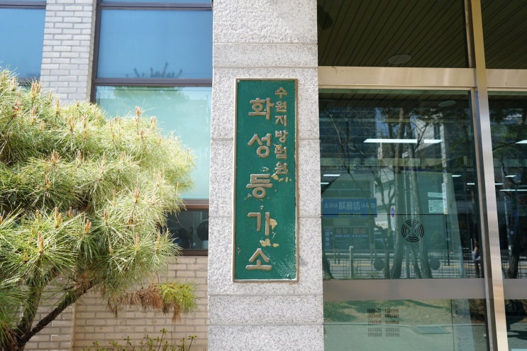  따스한 봄날의 셀프등기 (feat. 셀프등기 방법 공유)
