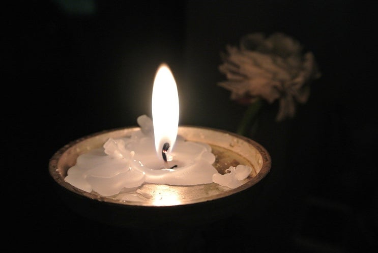 주인님을 위해 살아라 주인님을 위해 살아라