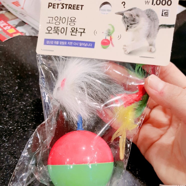 다이소 쇼핑/양말과 고양이장난감 산 날~^^
