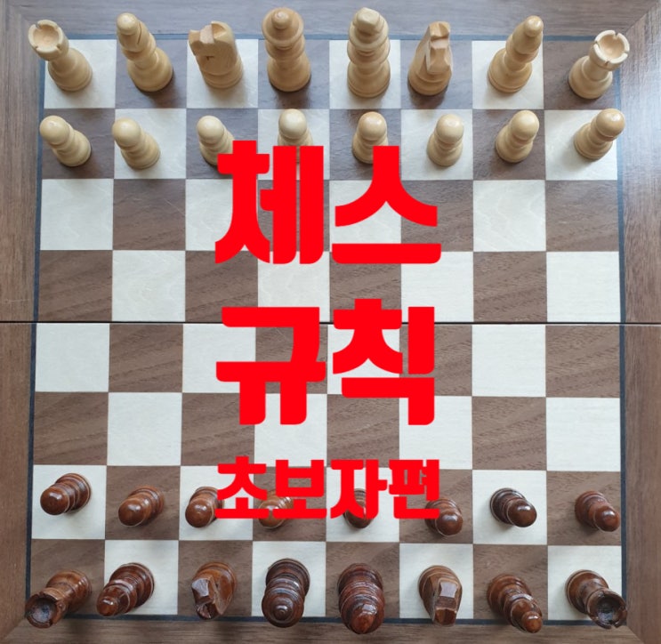 초보자를 위한 체스 기본 규칙 및 체스 두는 법