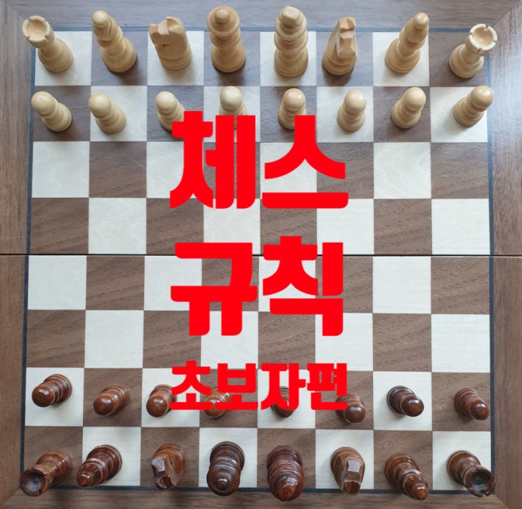  초보자를 위한 체스 기본 규칙 및 체스 두는 법