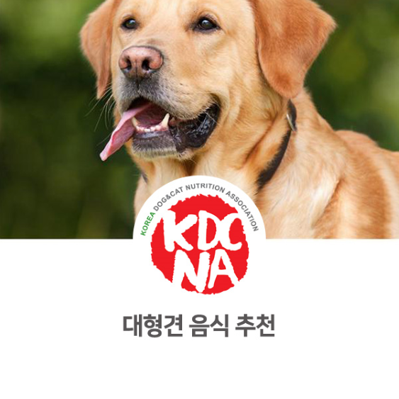  [나의반려/펫영양사/익산/전주/광주/군산/세종/아산/애견수제간식/펫푸드자격증] 대형견 음식 추천_770
