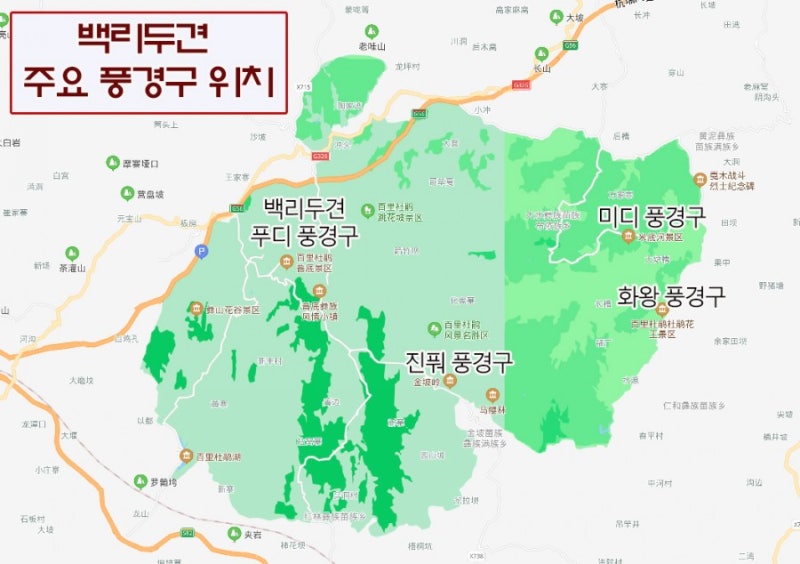 귀주성 백리두견百里杜鹃 철쭉 여행 후기 : 네이버 블로그