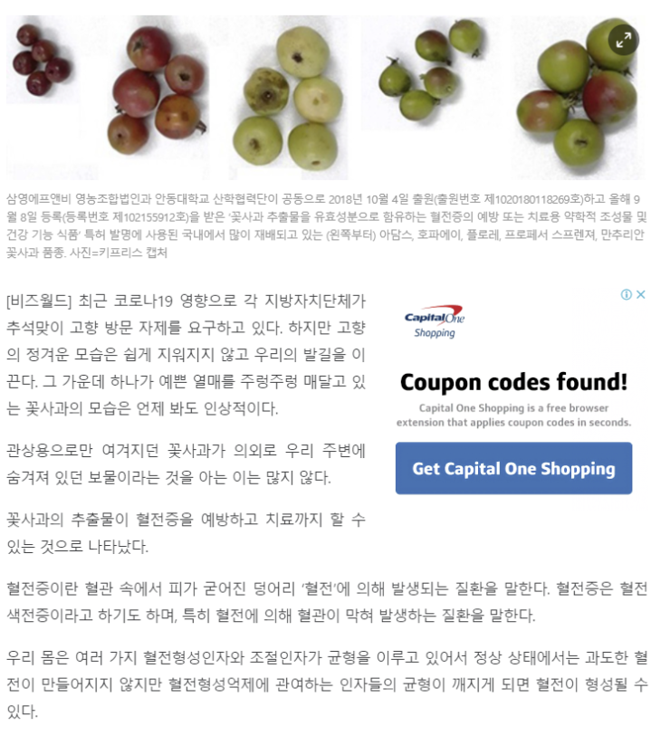  국내영농조합과 대학연구진이 세계최초로 밝혀낸 '꽃사과추출물을 이용한 혈전 예방,치료 효능'... 삼영에프앤비-안동대학교 연구진, 특허취득