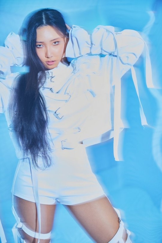  마마무 화사, RBW 재계약 완료!
