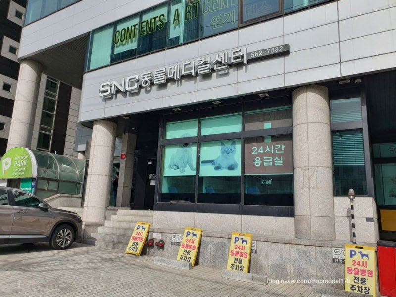강남 동물병원: 슬개골탈구진료 SNC동물메디컬센터