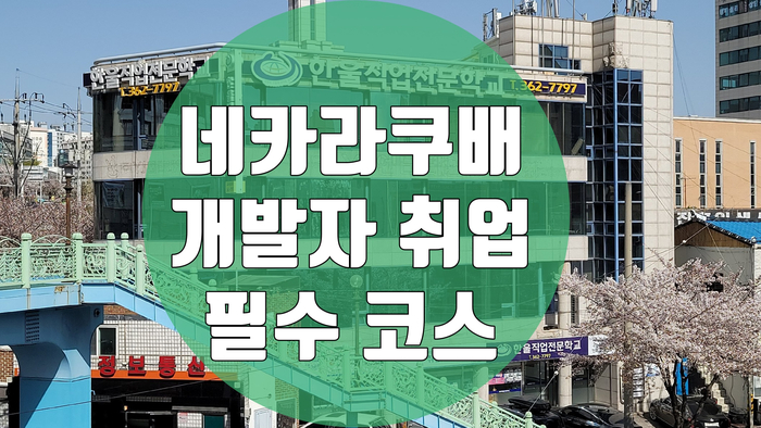 네카라쿠배 소프트웨어 개발자 취업 필수 코스 바로 이곳