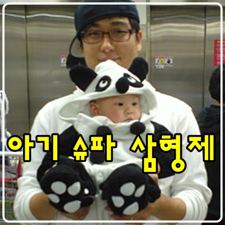  아기 슈파 삼형제