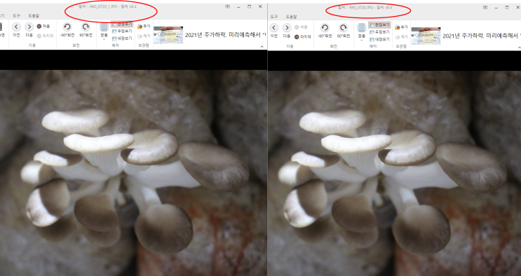 사진용량 줄이기 무료 사이트 프로그램 jpegmini 사용 방법