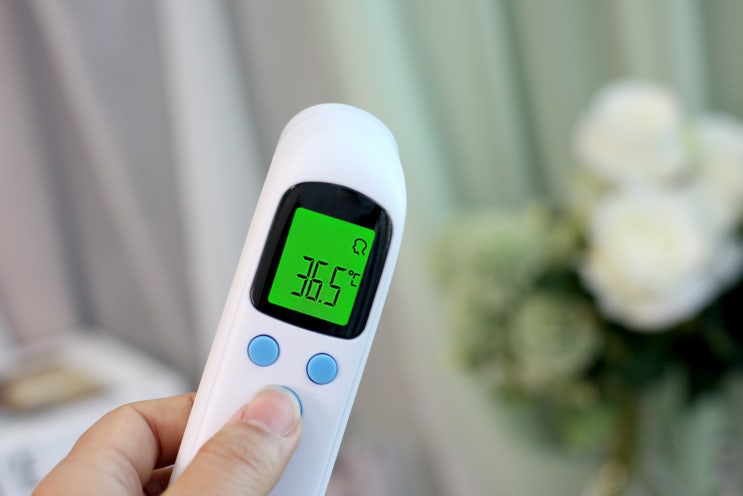 비접촉식 체온계 : 인메디 적외선 체온계 병원 약국  추천 가격