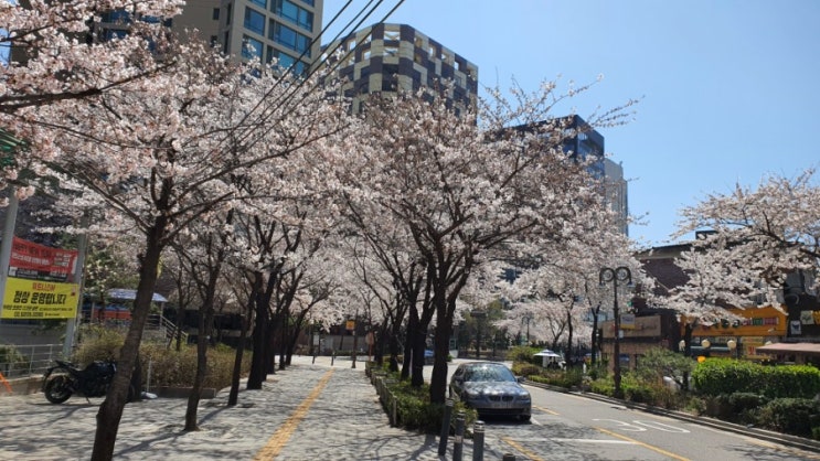  국비지원 전자책 전문가 양성과정 면접관으로 다녀왔습니다. (중부여성발전센터)