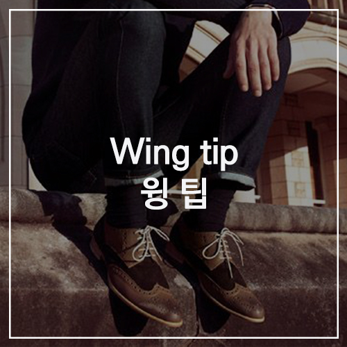 Wing tip 윙팁 : 대중적인 아이템