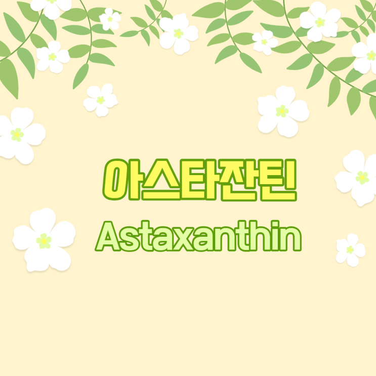  눈의 피로도 개선에 도움을 주는 아스타잔틴 (Astaxanthin)