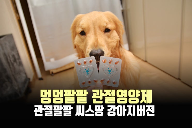  멍멍팔팔, 강아지관절영양제 추천! 관절팔팔 씨스팡의 그 제품!