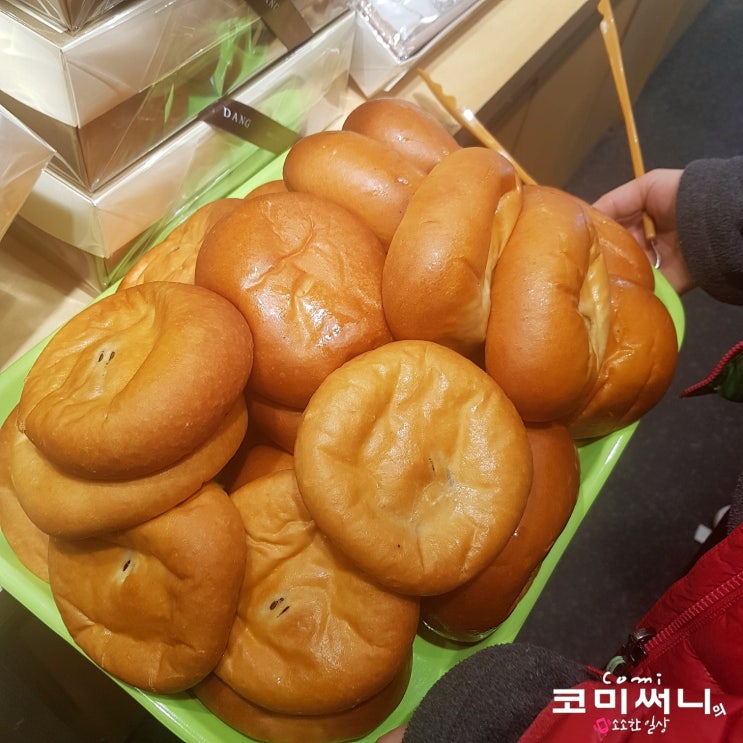 [군산 여행 필수 코스 / 군산 맛집] 전국 5대 빵집 군산 이성당 단팥빵과 야채빵 인기 실감! 주차와 빵 보관방법