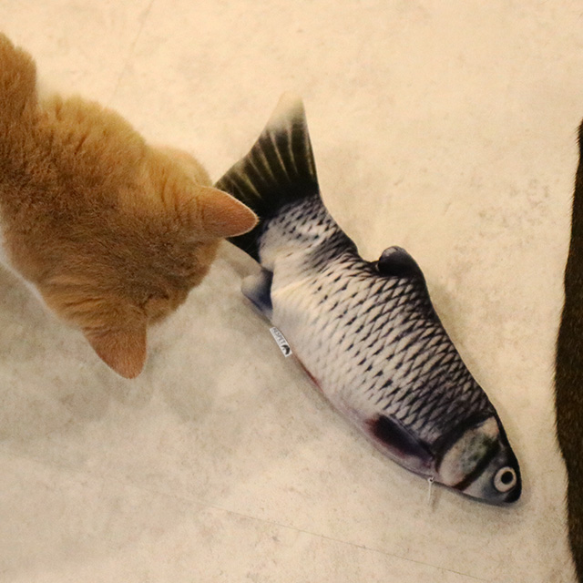 핵가성비 좋은 리스펫 움직이는 생선 파닥파닥 고양이 장난감, 청어, 1개 ···