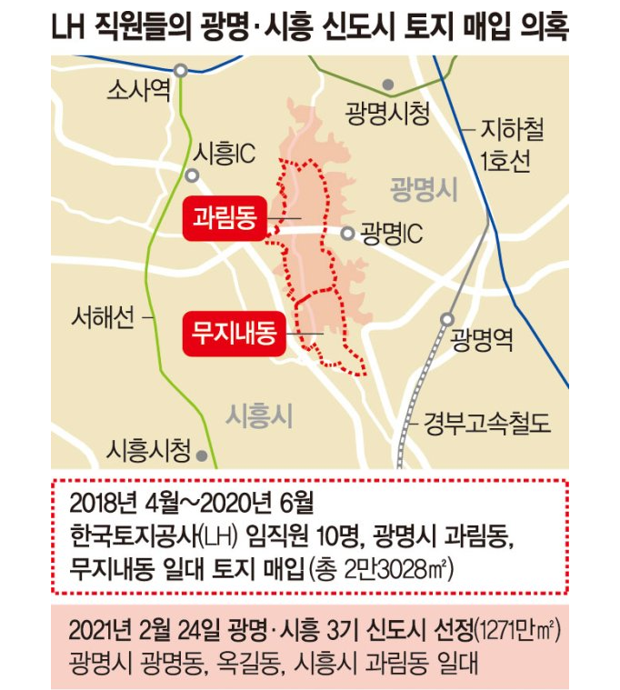  LH 투기사태가 당신의 부동산 가격에 미치는 영향