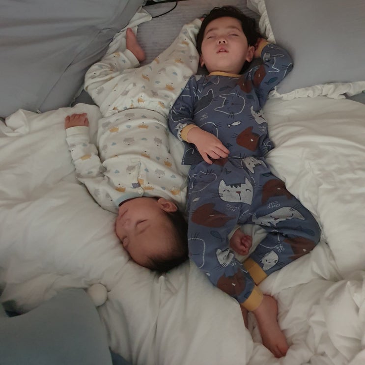잘 살고 있습니다. 잘 살고 있습니다.