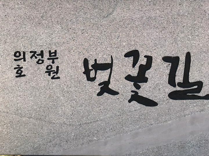 의정부 호원 벚꽃길을 아시나요?