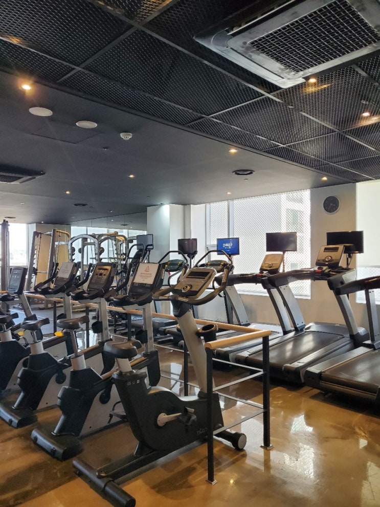  선릉역헬스장 "피트니스일레븐"(유산소존,스트레칭존)