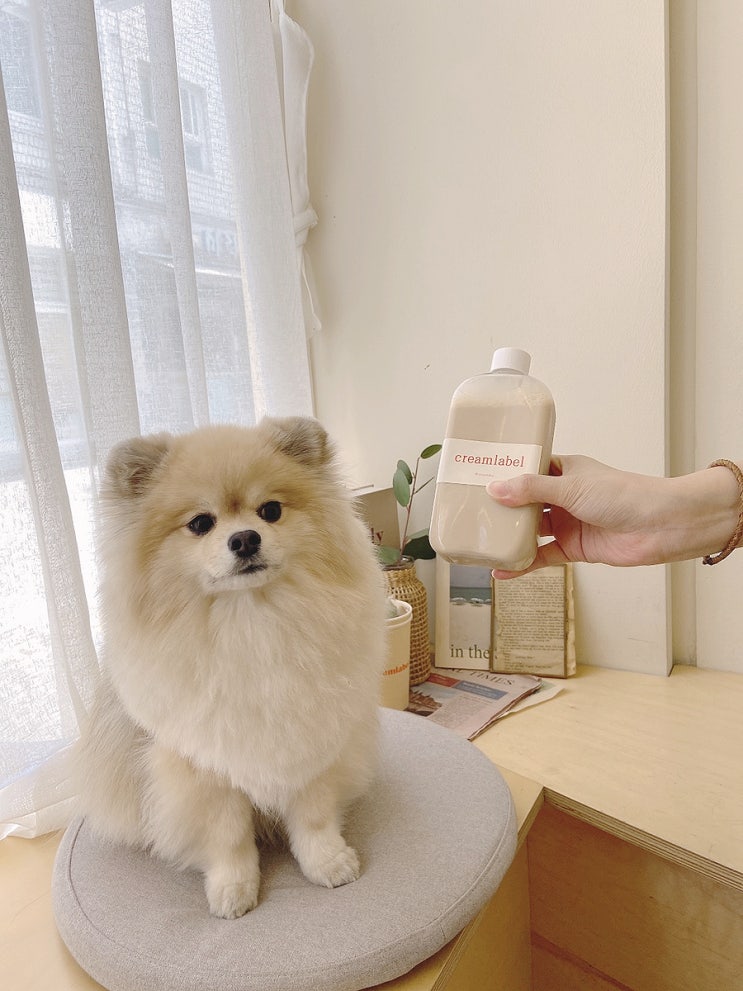  성수동 들렸다가 당이 떨어지면 가야지 #크림라벨