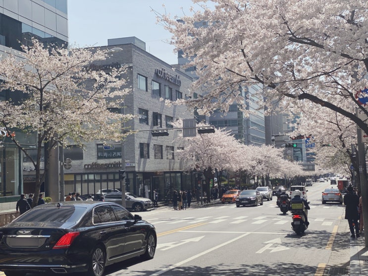  [강남 맛집 추천] 제레미 20 - 강남역 부근 담백한 홍콩 음식점