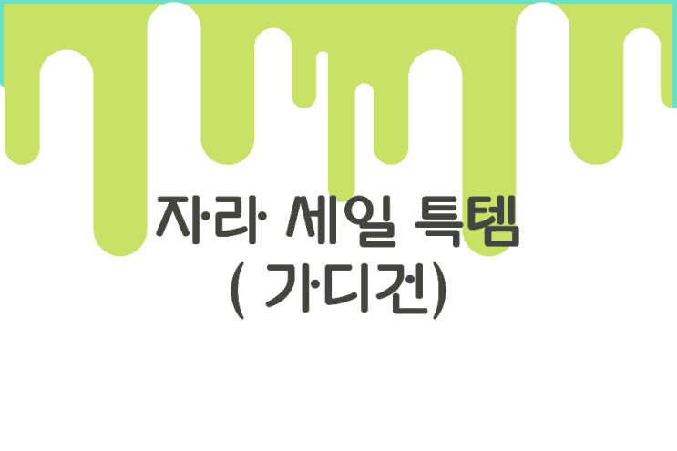 자라 세일 특템 (가디건) 자라 세일 특템 (가디건)