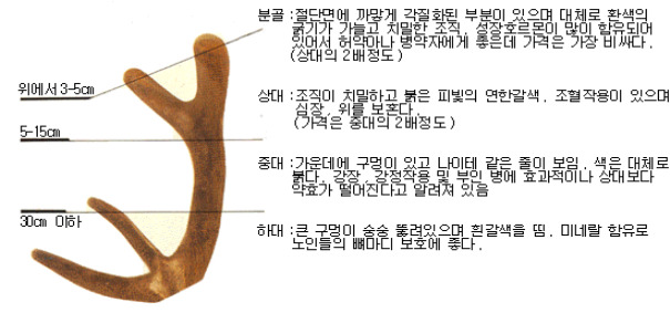 어린이 보약에는 녹용이 가장 좋은가요?[영통 새움한의원]