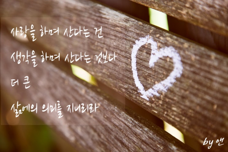  베스트셀러 서정윤 시집 <홀로서기 1> 짧고 좋은 시 사랑 시 좋은 시 추천 좋은 글귀 짧고 좋은 글귀