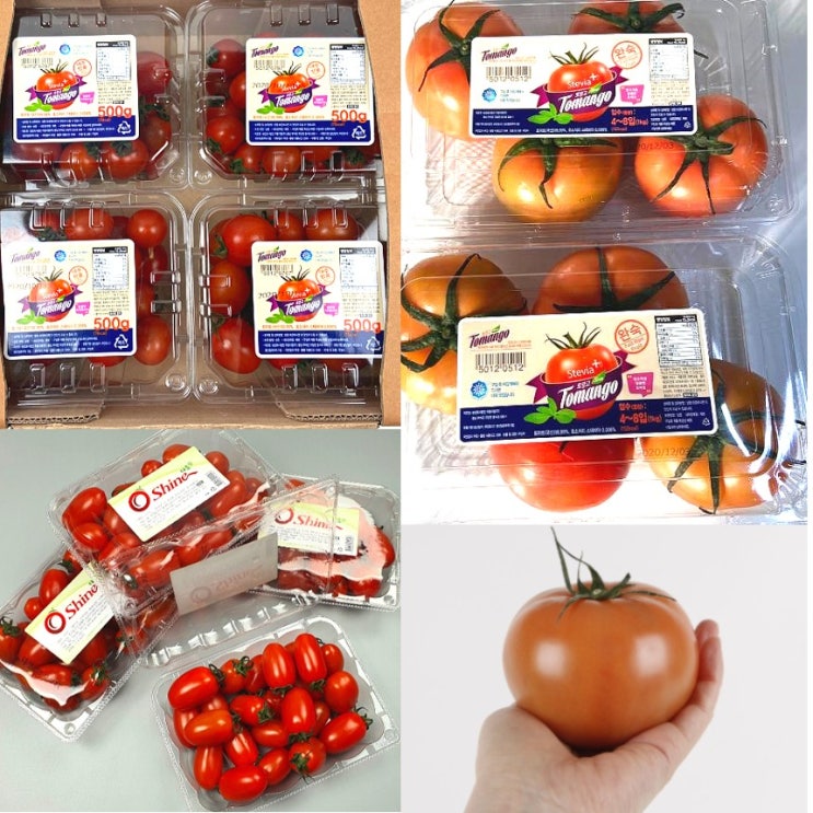 요즘 인기있는 스테비아 토망고 샤인마토 폭탄할인, 샤인마토 500g X 2 추천해요 요즘 인기있는 스테비아 토망고 샤인마토 폭탄할인, 샤인마토 500g X 2 추천해요