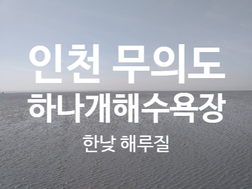 인천 무의도 하나개해수욕장 한낮 해루질