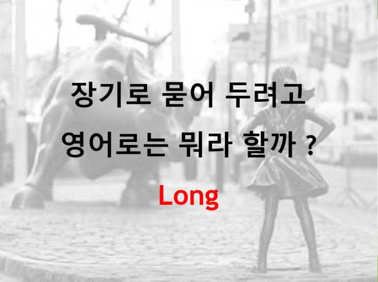  주식에 장기로 묻어둔다는 영어 표현 (feat. long)