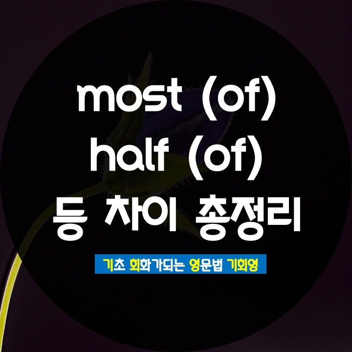  half of most of none 총정리 - 기회영