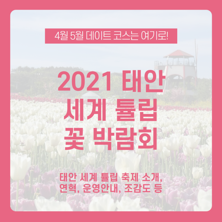  봄나들이 가기 좋은 5월 꽃축제 알아보기, <2021 태안 세계튤립꽃박람회>로 즐거운 봄나들이 어떠세요? /4월 꽃축제, 봄 데이트 코스, 태안 축제, 5월 데이트 코스