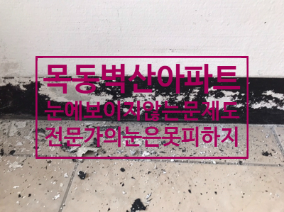 서울탄성코트/양천구 목동 벽산아파트 눈에 잘 보이지않는 베란다 문제점도 전문가의 눈은 피할수없다!